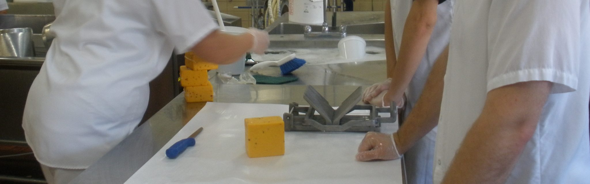 Cheese Apprenticeship Babcock Dairy Plant UWMadison
